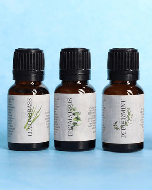 Amayah Focus & Energy Essential Oil Kit – Mental Clarity, Alertness & Productivity - Amayah