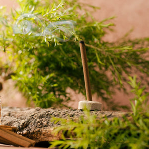 Amayah Tea Tree Dhoop Sticks - Bambooless Incense for Purification - Amayah