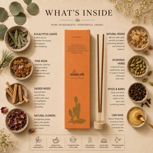 Eucalyptus Incense Sticks - Refreshing Air Cleansing Aromatherapy - Amayah