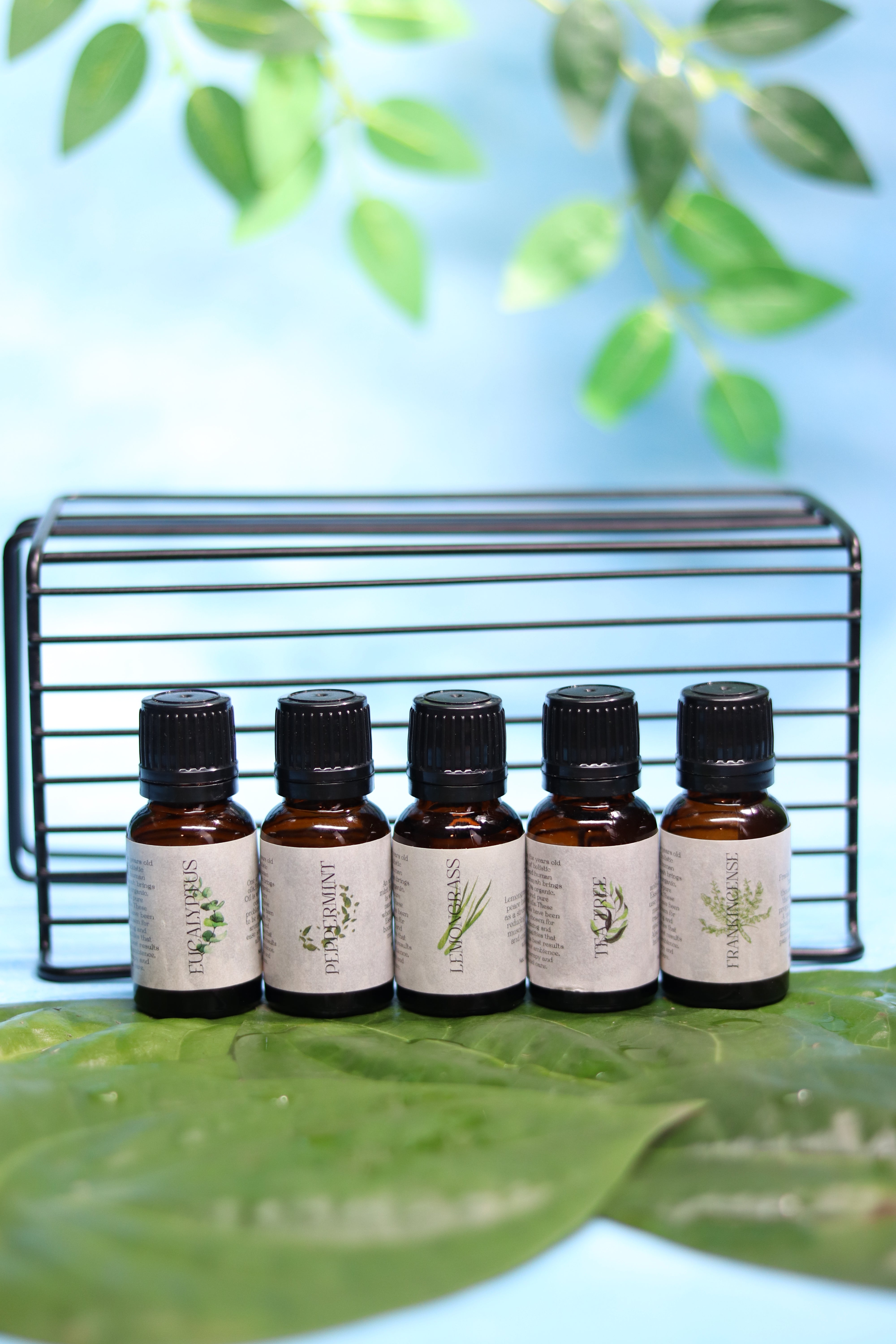 Amayah Breathe Easy Essential Oils Combo | Cold Relief & Immunity Boost