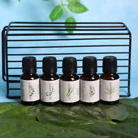 Amayah Breathe Easy Essential Oils Combo | Cold Relief & Immunity Boost - Amayah