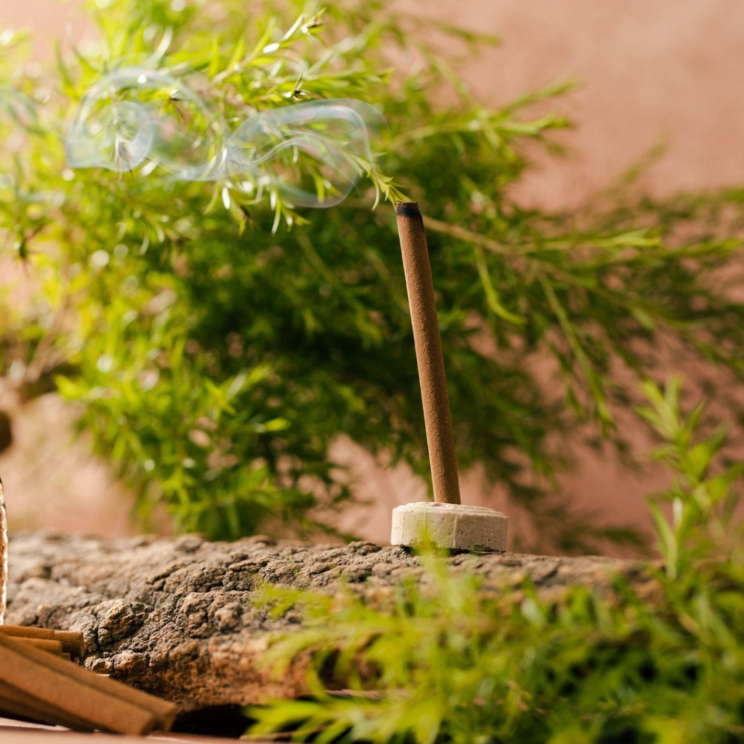 Amayah Tea Tree Dhoop Sticks - Bambooless Incense for Purification - Amayah