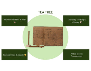 Amayah Tea Tree Dhoop Sticks - Bambooless Incense for Purification - Amayah